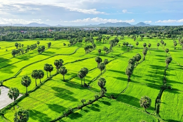 Tỉnh An Giang