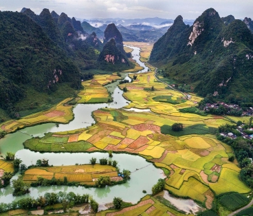Tỉnh Ninh Bình